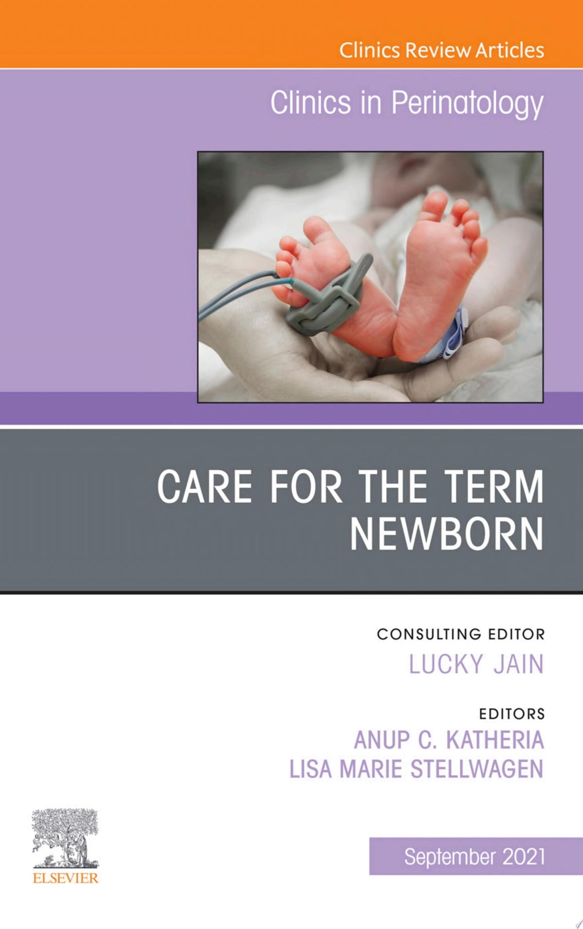 Care for the Term Newborn, An Issue of Clinics in Perinatology