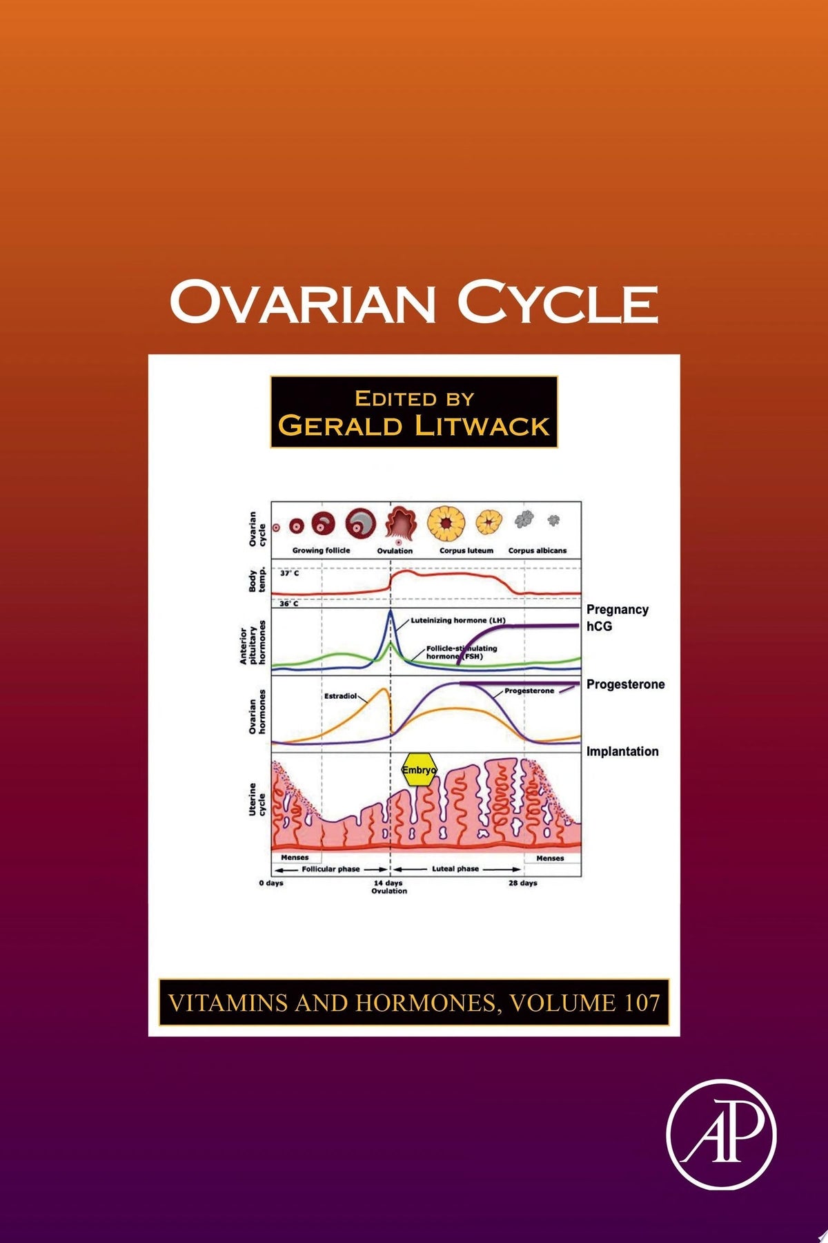 Ovarian Cycle, Volume 107