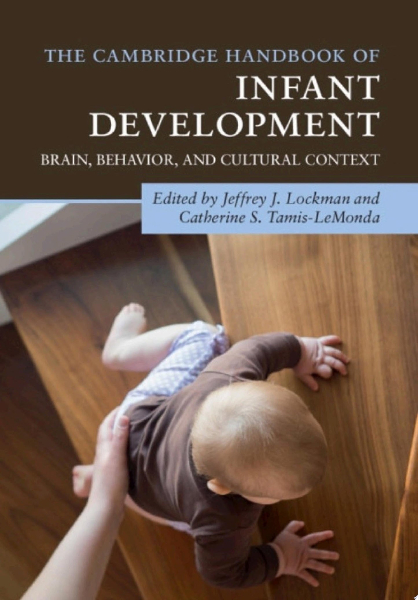 The Cambridge Handbook of Infant Development: Brain, Behavior, and Cultural Context