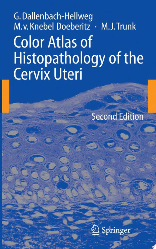 The Cervix